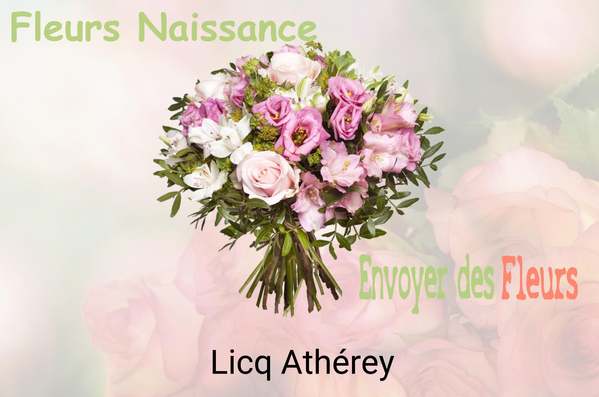 Bouquet de fleurs de naissance livré à Licq-Athérey